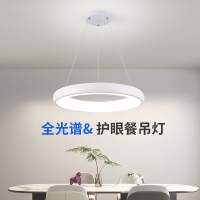 餐厅灯LED吸顶灯简约现代吧台理发店发廊服装店吊灯北欧网红灯具